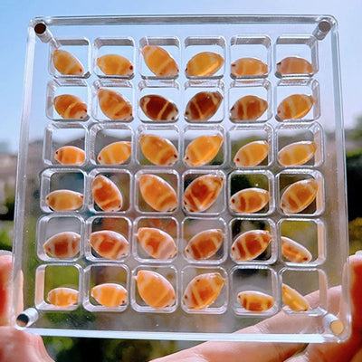 Acrylic small jewelry storage box