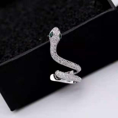 Snake Ear Bone Clip
