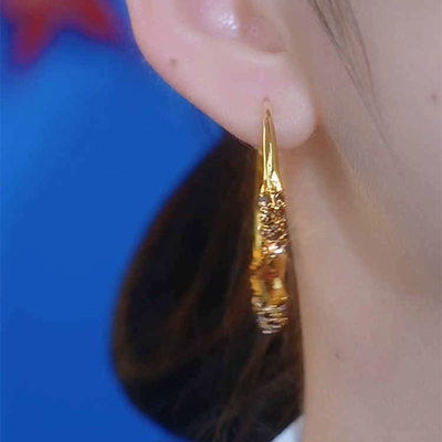 Pleated Design Earrings
