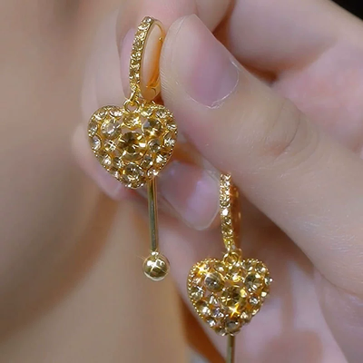 Zircon Love Long Tassel Earrings