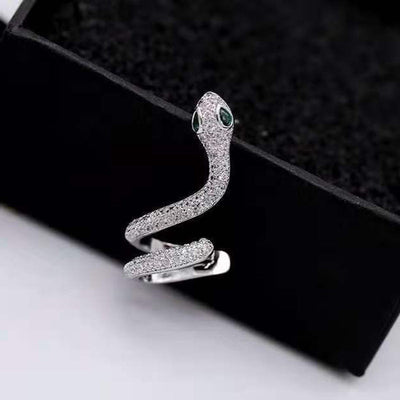 Snake Ear Bone Clip